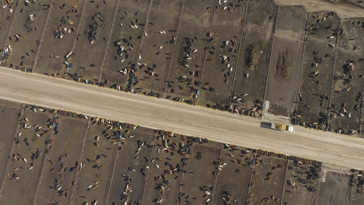 Aerial View of Cattle Farm