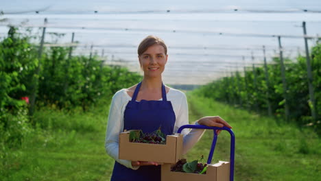 female farmer holding box with fresh organic farm cherry at agrarian plantation.