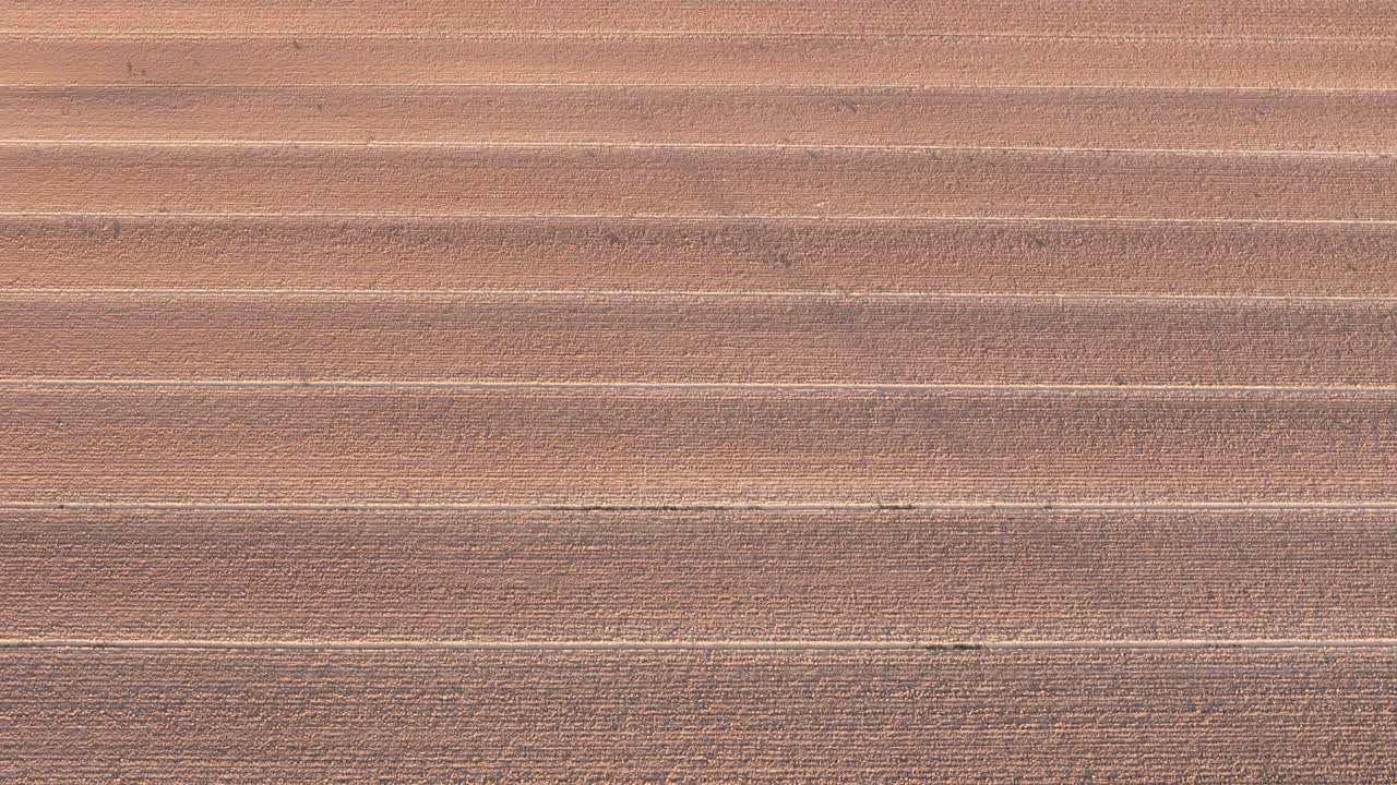 Wide aerial view of evenly furrowed field in the Po Valley, Italy, captured during drone pulling out slowly
