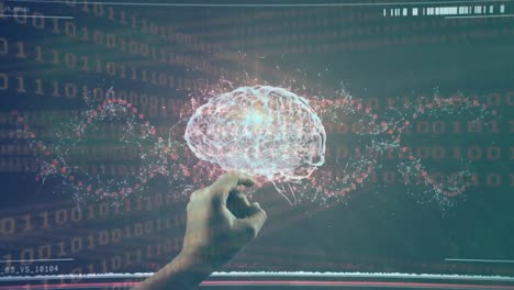 animación de codificación binaria sobre el cerebro digital tocando el dedo humano