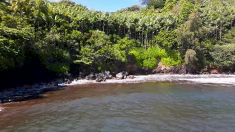 Mesmerizing-pull-out-drone-shot-unveiling-a-secluded-small-beach-nestled-at-the-lush-border-of-a-dense-tropical-forest-on-Big-Island,-Hawaii