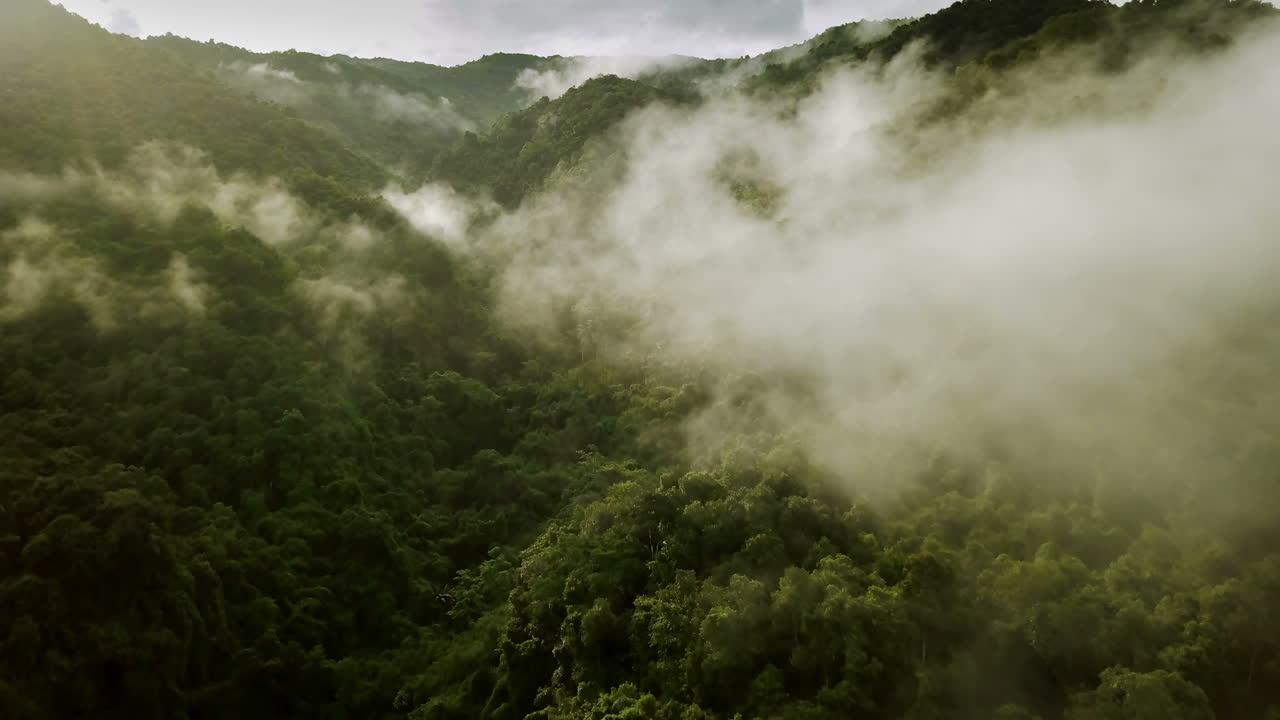 vista aérea volando sobre la exuberante montaña verde de la selva tropical con nubes de lluvia durante la temporada de lluvias en el parque nacional reservado de la montaña doi phuka en el norte de tailandia
