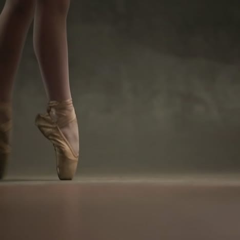 girl ballerina posing in studio