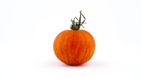 one whole red globe striped tomato with water drops rotating on the turntable isolated on the white background. close up. macro.