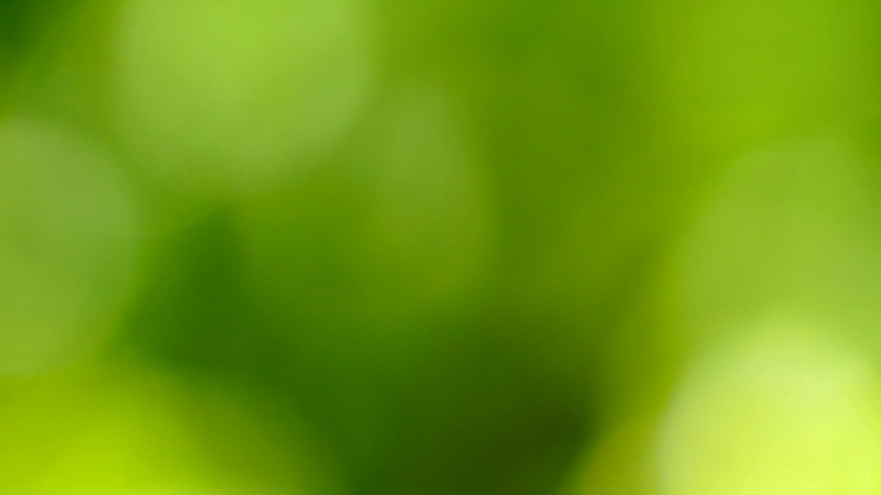 hermoso fondo de naturaleza verde. borroso bokeh abstracto con llamaradas solares