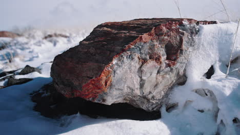 gimbal shot of petrified wood