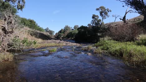 a wide shot of the broken river running through agricultural land in victoria australia