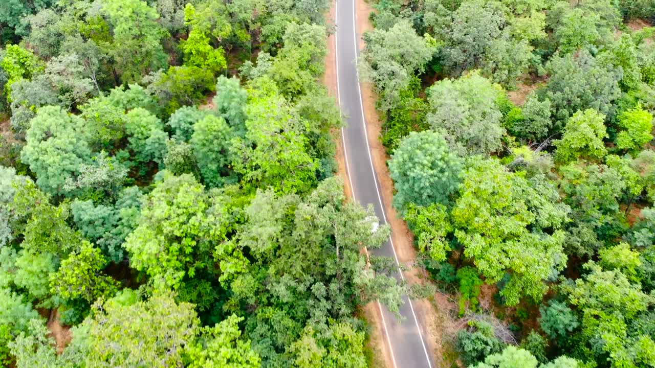 vista aérea de la conducción de automóviles blancos en la carretera rural en el bosque