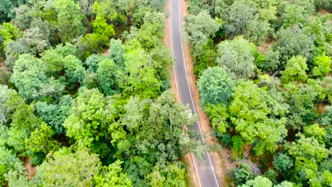 Aerial-view-of-white-car-driving-on-country-road-in-forest