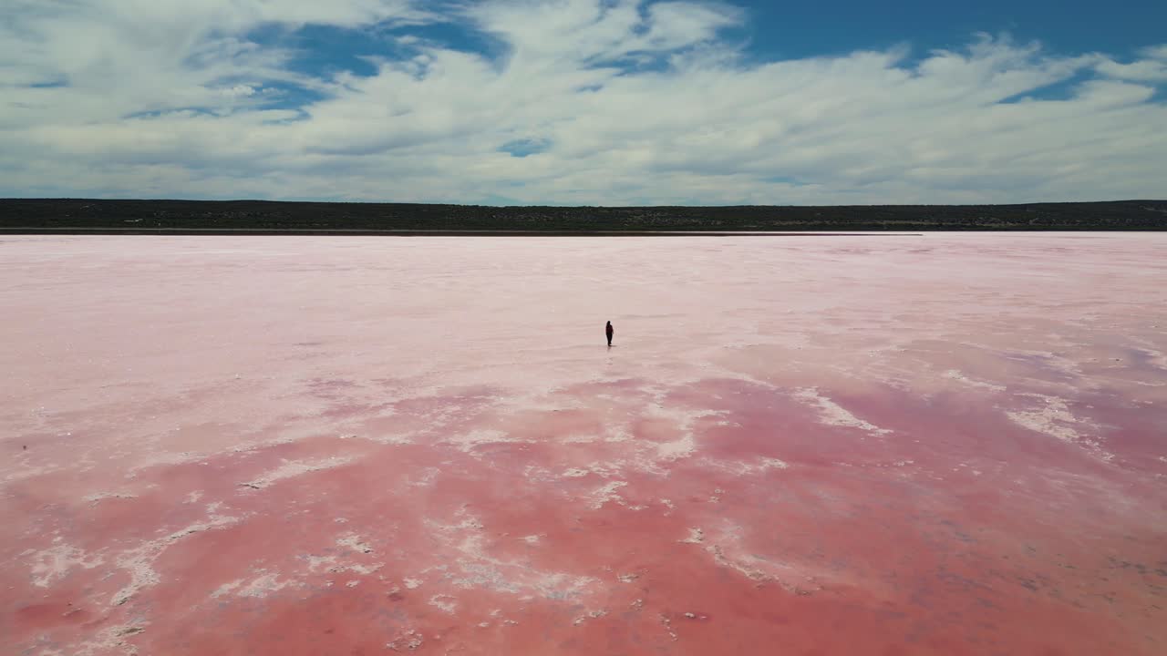 Following drone view of lone person walking across the beautiful Pink Lake Hutt Lagoon in Western Australia
