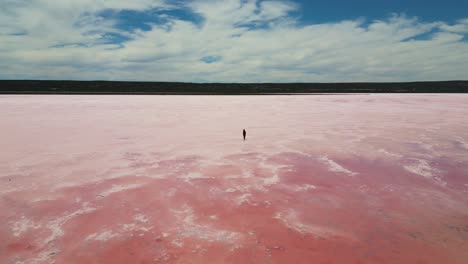 siguiente vista de avión no tripulado de una persona solitaria caminando a través de la hermosa laguna rosa de hutt en australia occidental