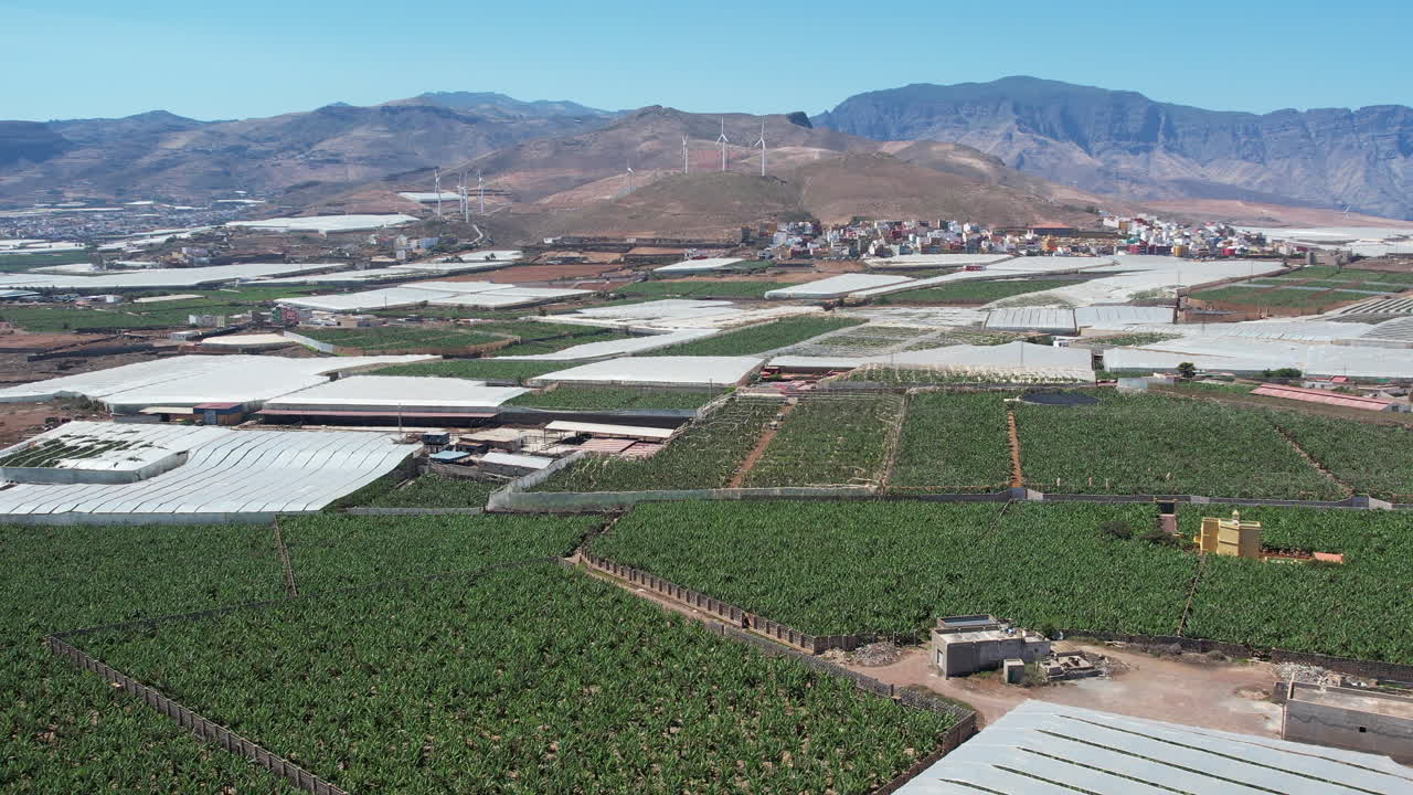 그란 카나리아 북부의 바나나 농장의 환상적인 공중 촬영, 멀리, 아가테 항구 근처의 산과 풍력 터빈을 만드는