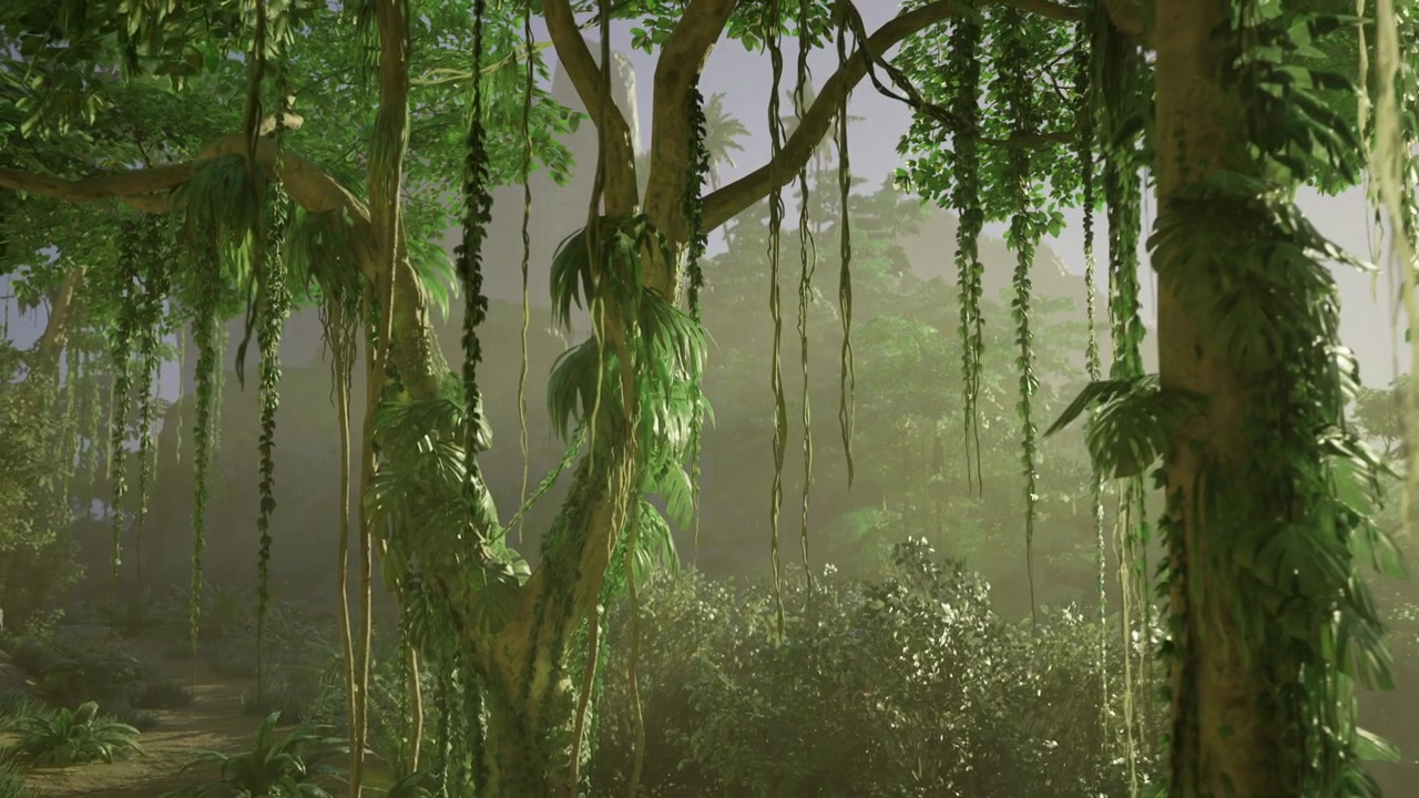 Restful forest scene featuring vibrant foliage and gentle sunlight