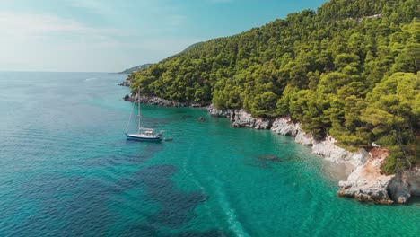 sailboat in clear blue waters near a forested coastline on a sunny day