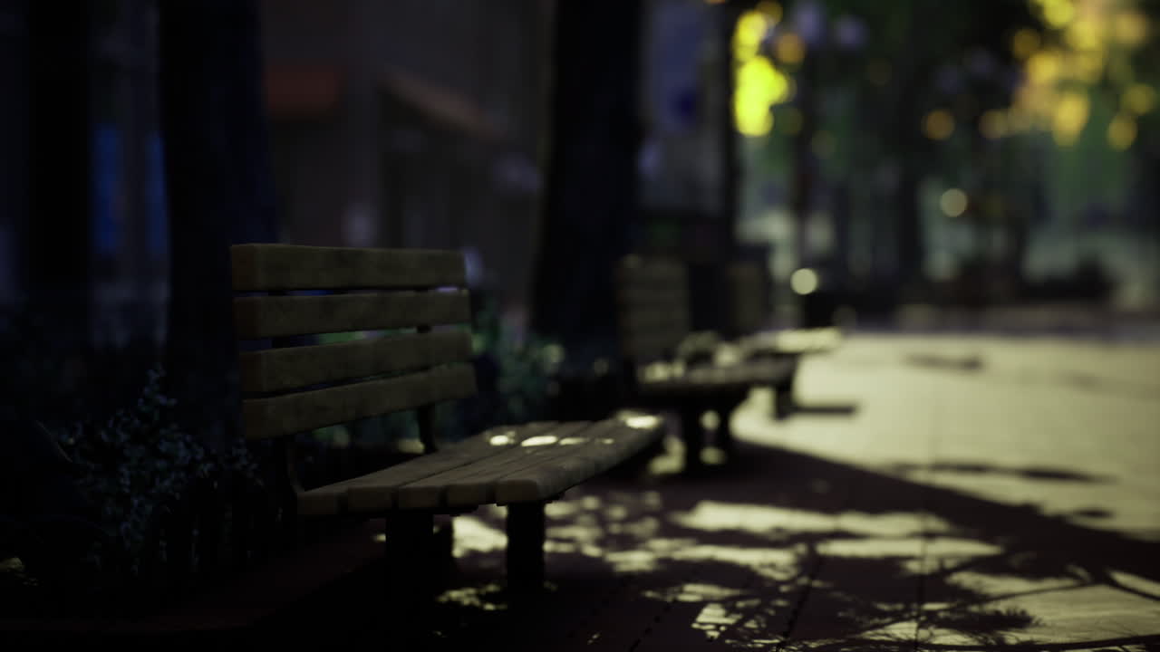 Quiet park afternoon with benches and soft sunlight through trees