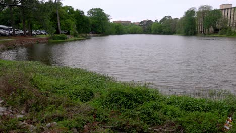 campus del lago en el campus de la universidad estatal de luisiana con panorámica de video de izquierda a derecha