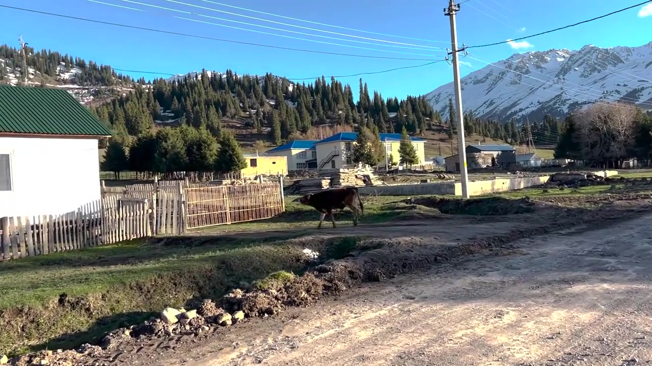 Ko som går genom bergsbyn Jyrgalan, landsbygdsscen i Kirgizistan