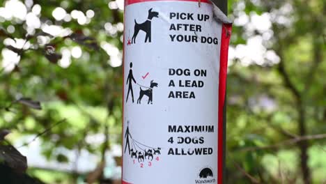 Pick-up-after-your-dog,-Putney,-Wandsworth,-London,-United-Kingdom