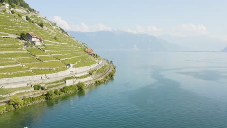 Toma-Aérea-De-La-Parte-Más-Empinada-De-Las-Terrazas-De-Viñedos-De-Lavaux-Que-Van-Hasta-El-Lago-Leman---Suiza