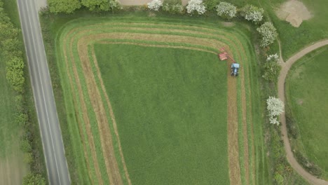 Irish-cow-fodder-grass-chopping-with-lawn-mower-Wexford