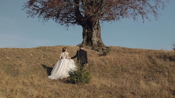 Newlyweds. Caucasian groom with bride near beautiful autumn tree. Wedding couple