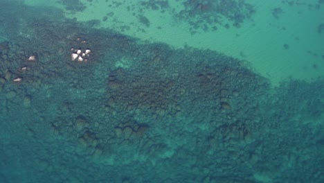 a high-flying, 4k drone shot over lake tahoe, california, during the winter season