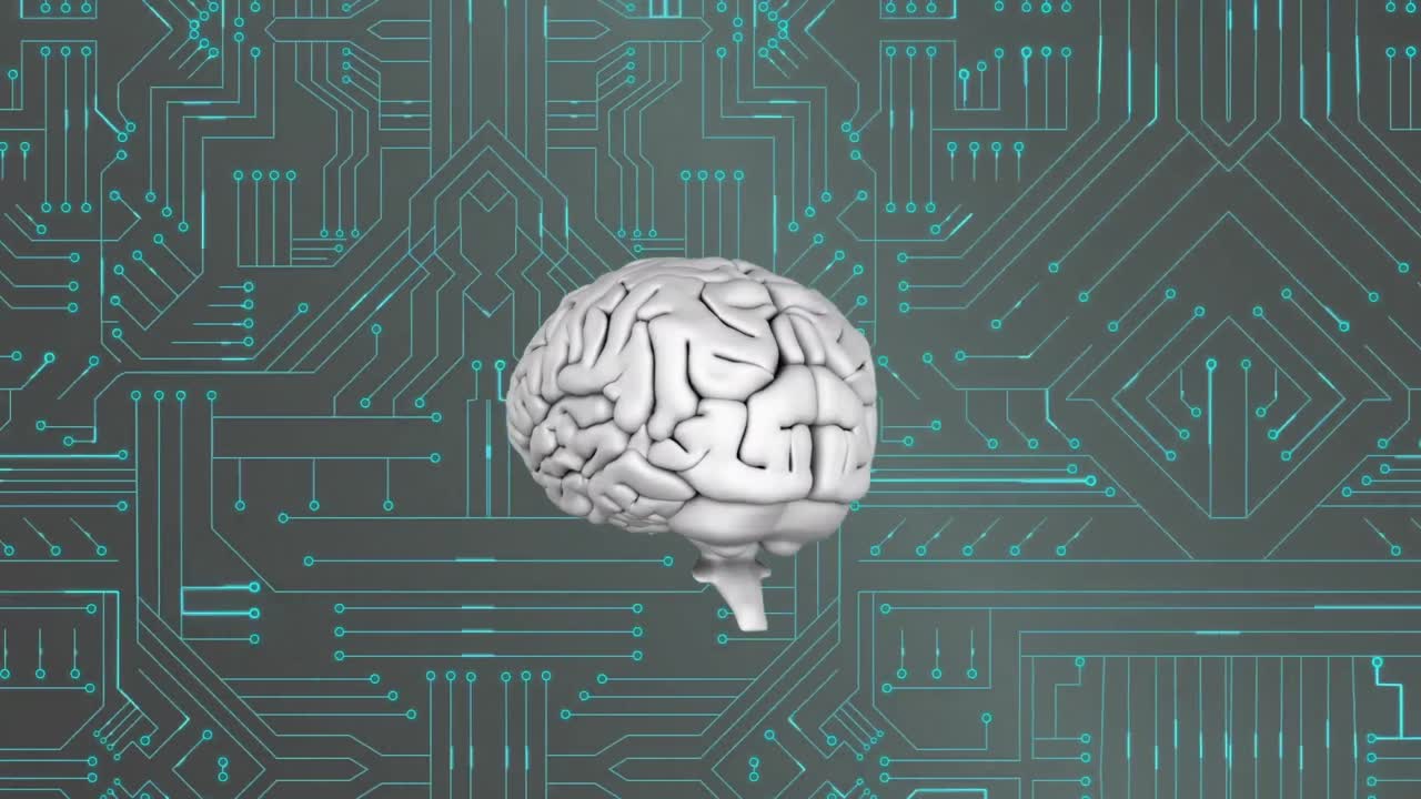 cerebro y circuito digital