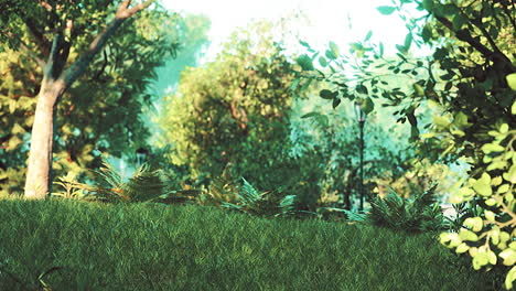 tranquil park scene at sunrise