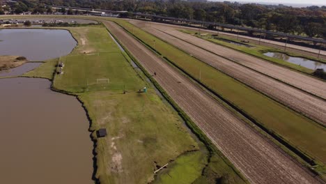 Isolated-race-horse-training-trotting-along-racecourse-track,-Palermo-Hippodrome-at-Buenos-Aires-city-in-Argentina