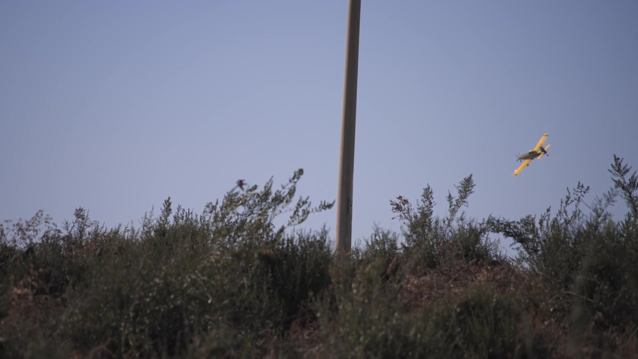 Aereo che vola sopra il prato