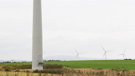 wind turbines spinning in a green field