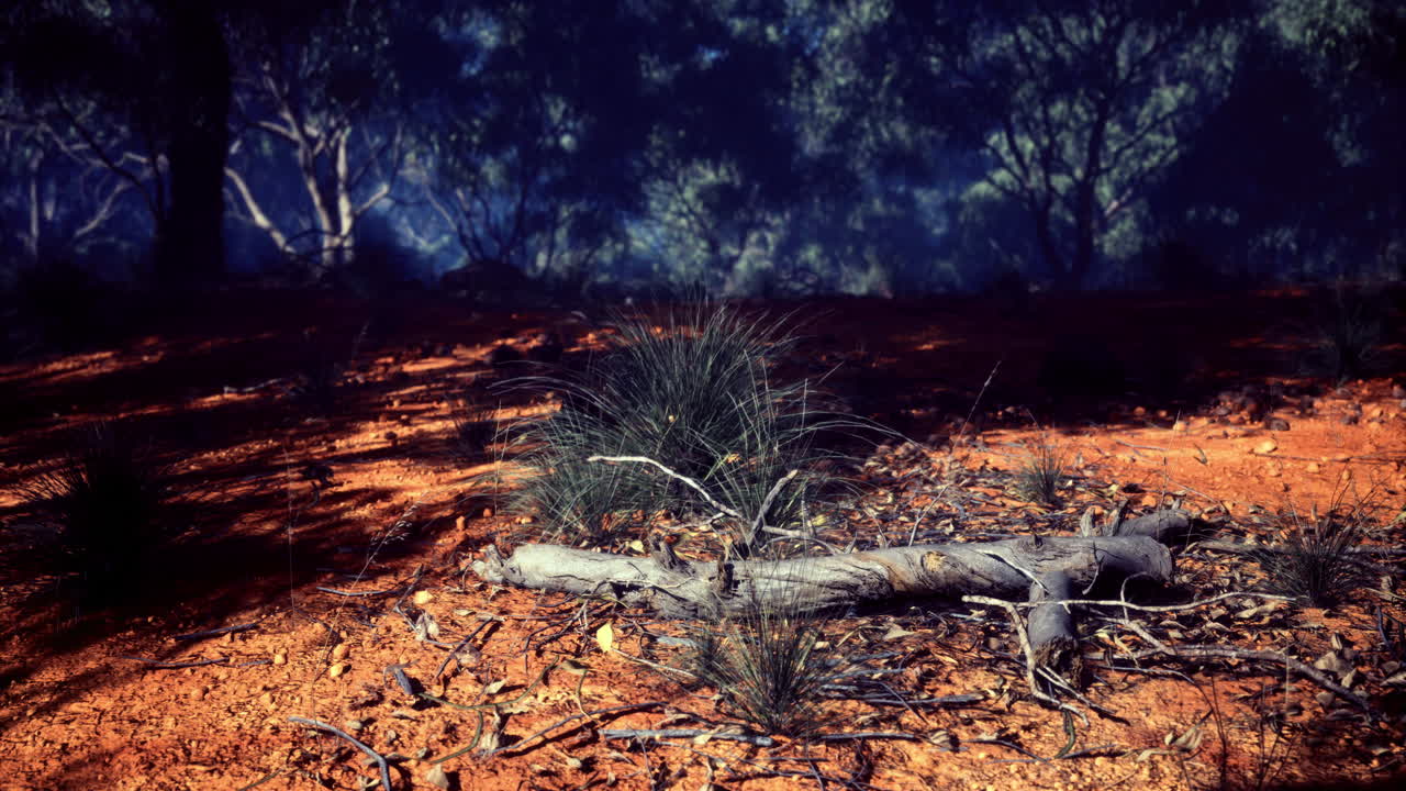 Vibrant contrast of earthy tones in a serene forest environment at dusk