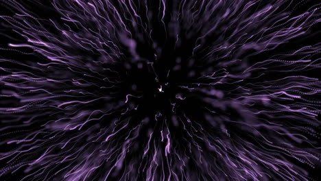 animación de fuegos artificiales púrpura sobre fondo negro