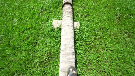 pov a man wear slipper balancing walk on wooden log