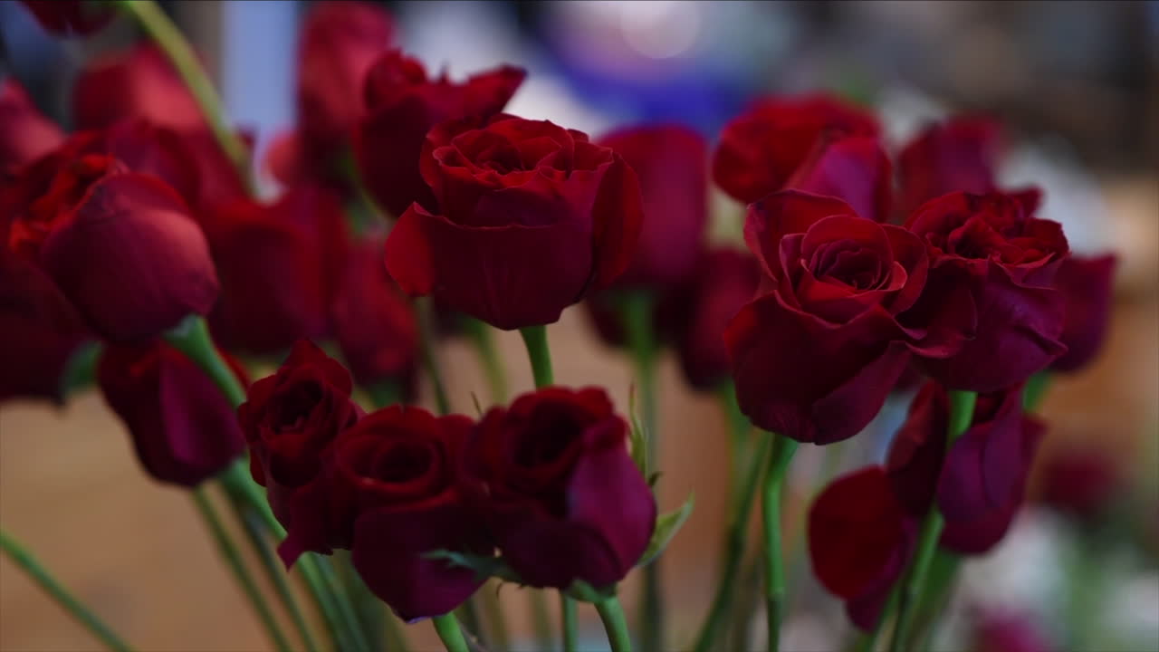 Una toma de un ramo de rosas rojas