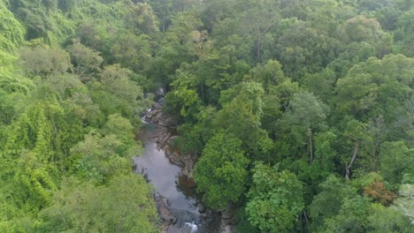 Un-Dron-Captura-Un-Impresionante-Río-En-La-Jungla