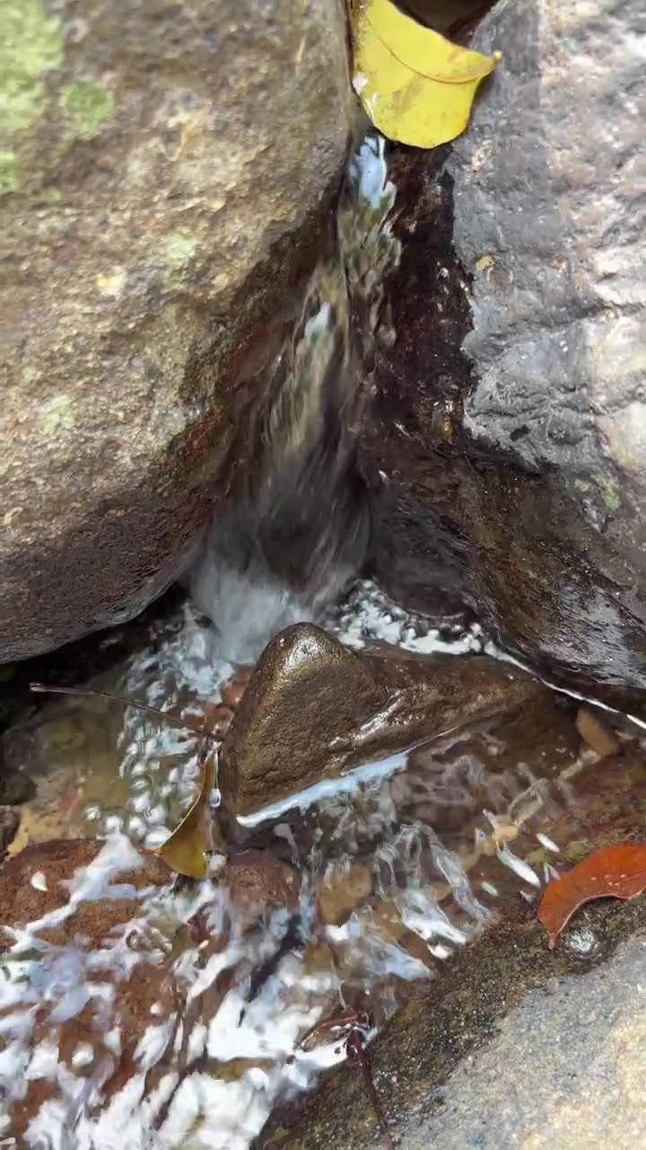 Pequeno Córrego de Água Fluindo Entre Rochas na Natureza