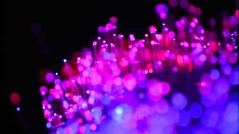 fiber optics macro shot 18