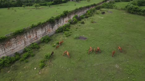 Aerial-view,-asphalt-road-that-penetrates-the-cliffs-of-Tanah-Barak-on-the-island-of-Bali-to-connect-to-Pandawa-beach