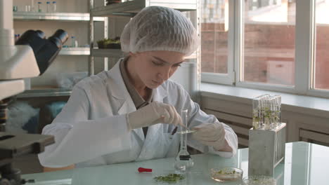 scientist conducting plant experiment in a laboratory