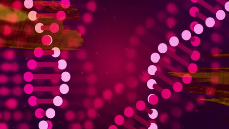 animation of red shapes over dna strands