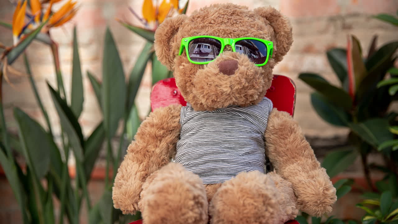 oso de peluche con gafas de sol