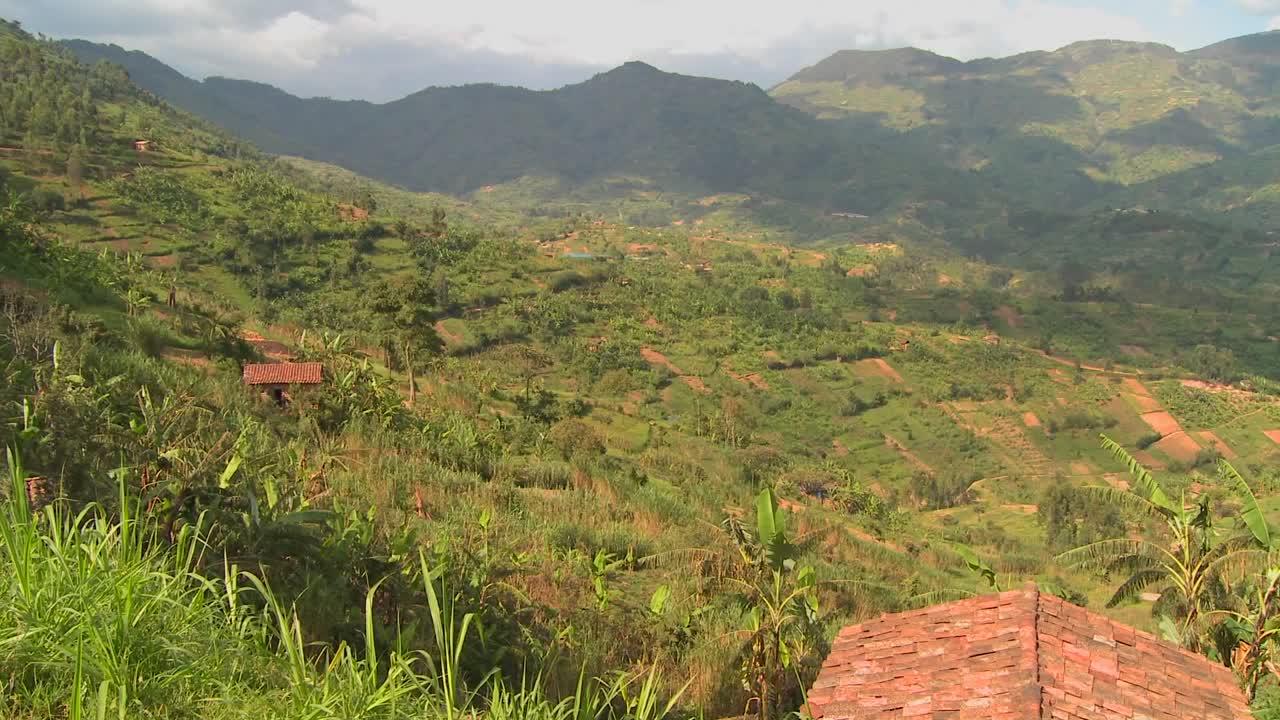 르완다의 무성한 열대 시골을 가로지르는 패닝 샷