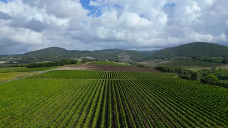 Majestuoso-Vista-Aérea-Superior-Vuelo-Paisaje-Meditativo-Toscana-Vino-Campo-Valle-Italia-Otoño