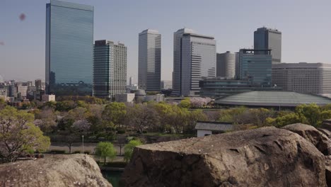 Rascacielos-De-La-Ciudad-De-Osaka-Con-Flor-De-Sakura-Cayendo,-Cámara-Lenta,-Pan-A-La-Derecha