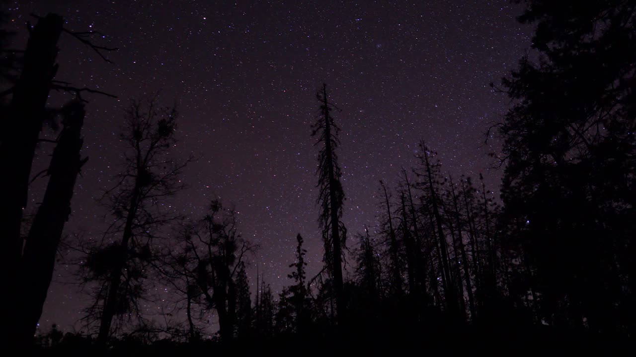Astrofotografie-Zeitraffer von Sternen über einer dunklen Waldlandschaft in den kalifornischen Sierra Nevada Bergen