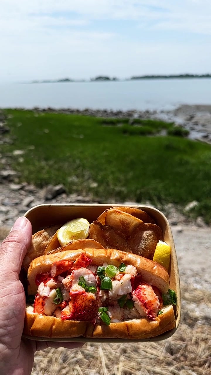 Mão de uma pessoa segurando um sanduíche de lagosta fresco com batatas fritas e limão. Delicioso almoço de frutos do mar sendo desfrutado ao ar livre em um dia ensolarado na costa, vídeo em câmera lenta
