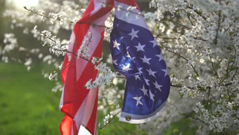 Flagge-Von-Amerika-Auf-Dem-Hintergrund-Eines-Blühenden-Baumes.-Politik,-Erlernen-Einer-Fremdsprache.-4.-Juli.-Gedenktag