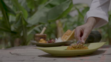 close up shot of chef hands serving dish