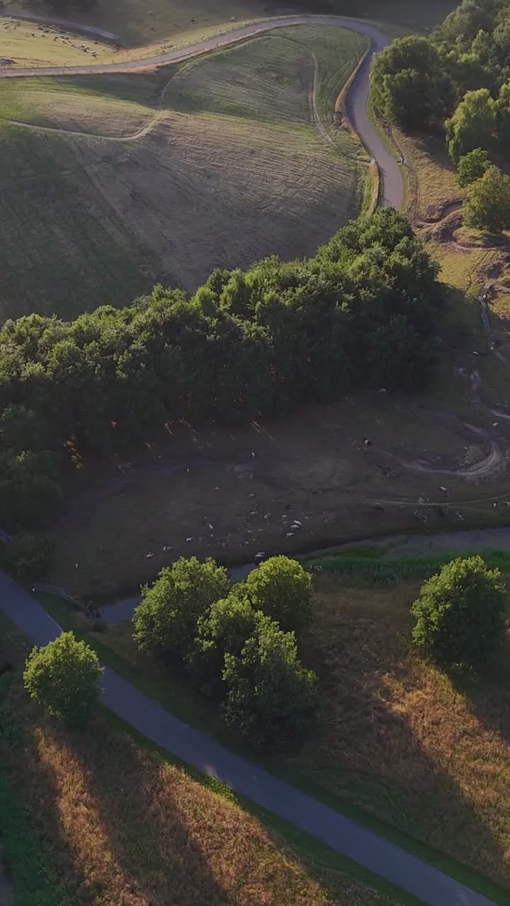 Aerial View of a Serene Rural Landscape with Rolling Hills and Trees